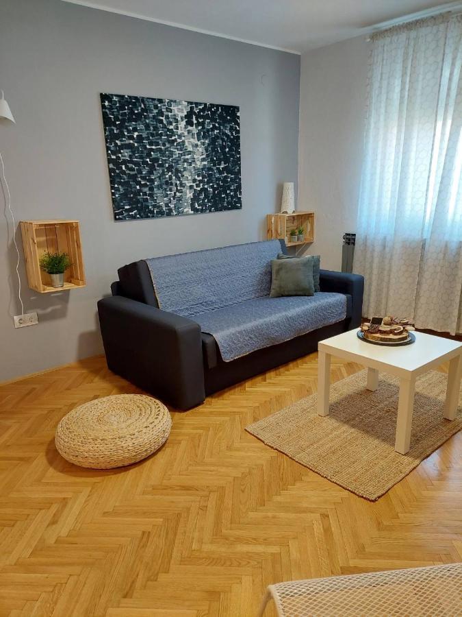 德雷兹尼克格雷德Apartman Hana公寓 外观 照片